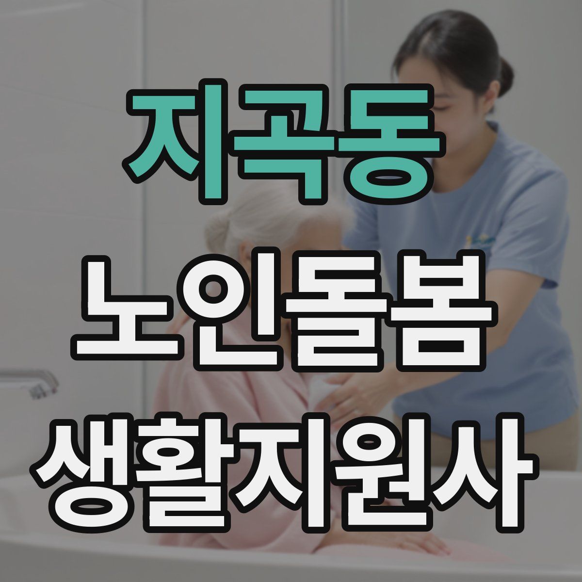 지곡동 노인돌봄생활지원사 자격증