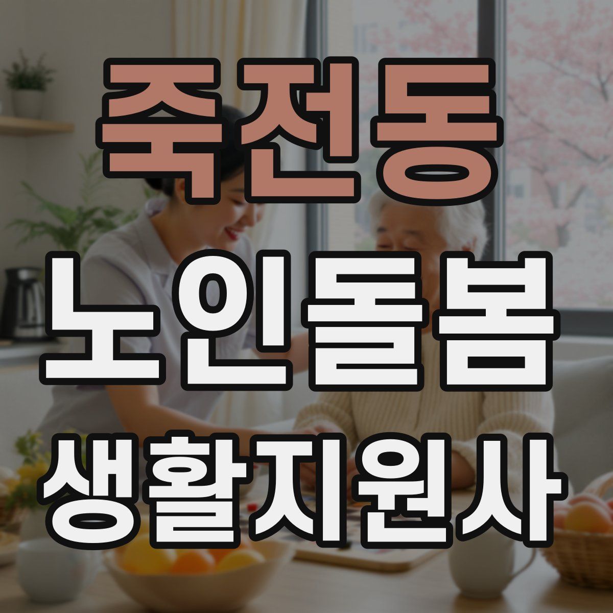 죽전동 노인돌봄생활지원사 자격증