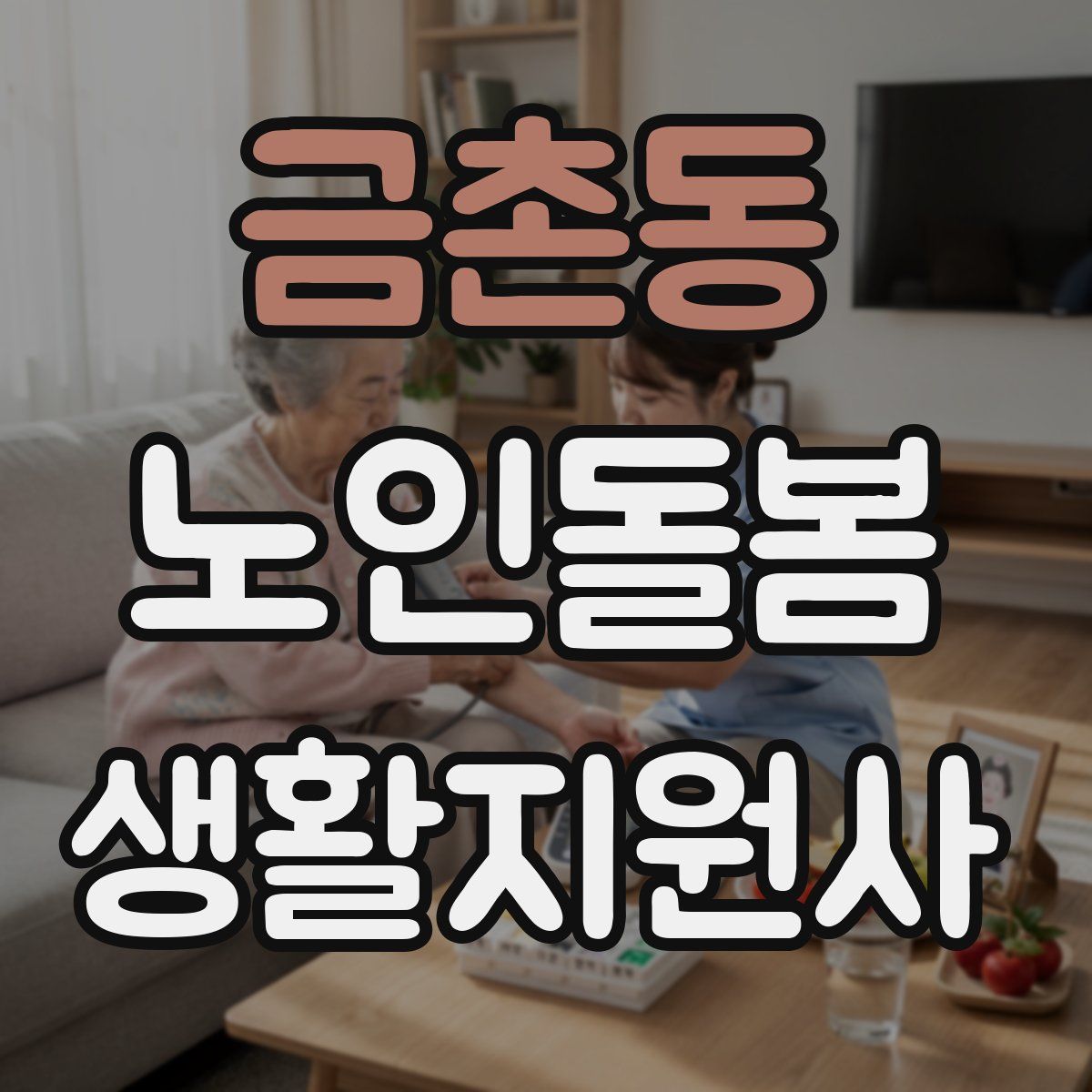 금촌동 노인돌봄생활지원사 자격증