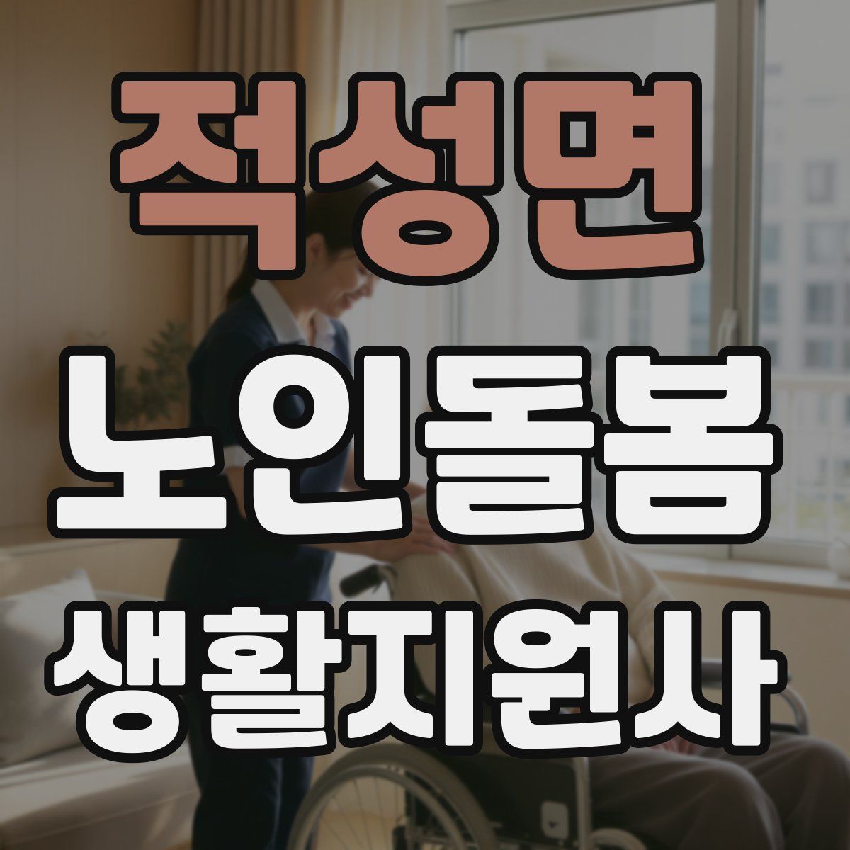 적성면 노인돌봄생활지원사 자격증