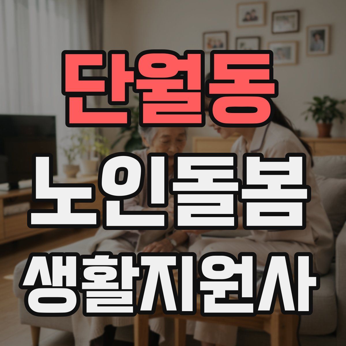 단월동 노인돌봄생활지원사 자격증