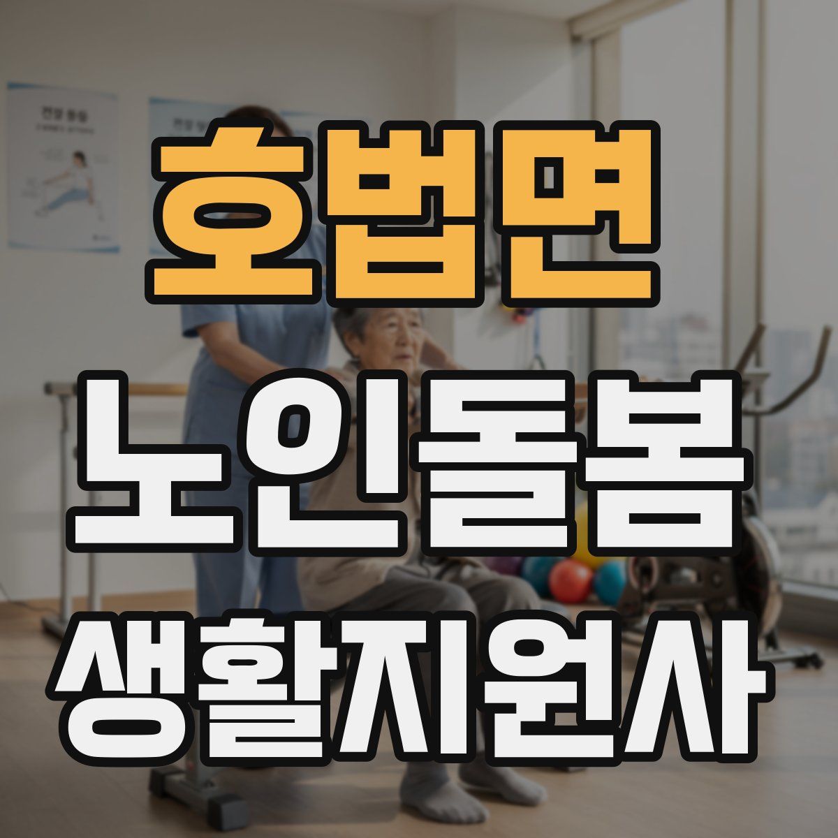 호법면 노인돌봄생활지원사 자격증
