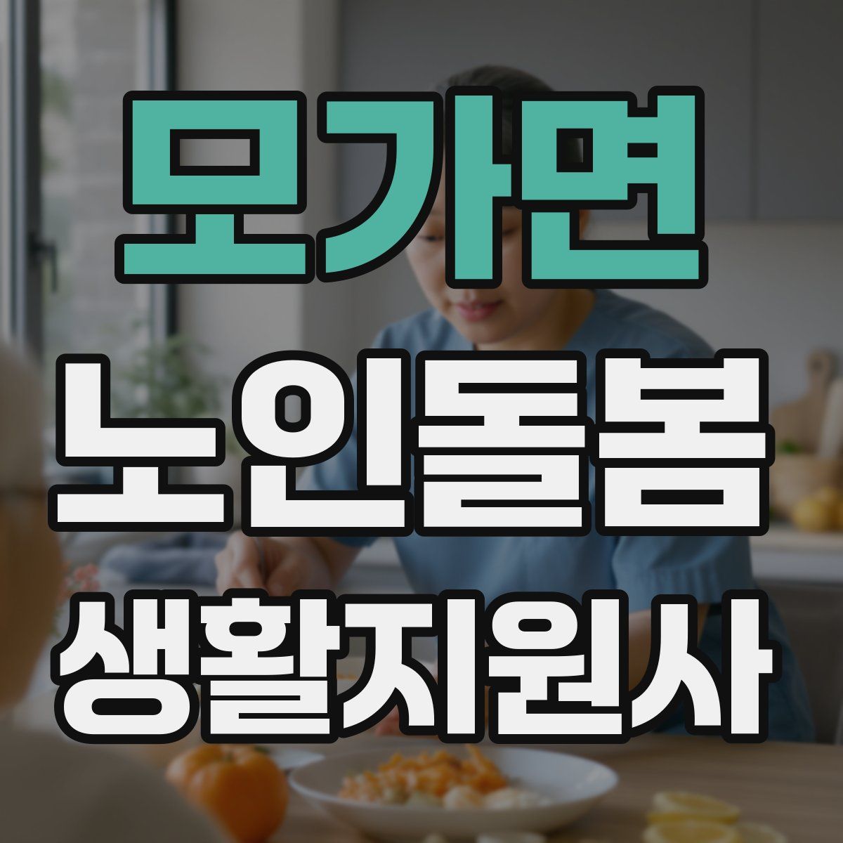 모가면 노인돌봄생활지원사 자격증