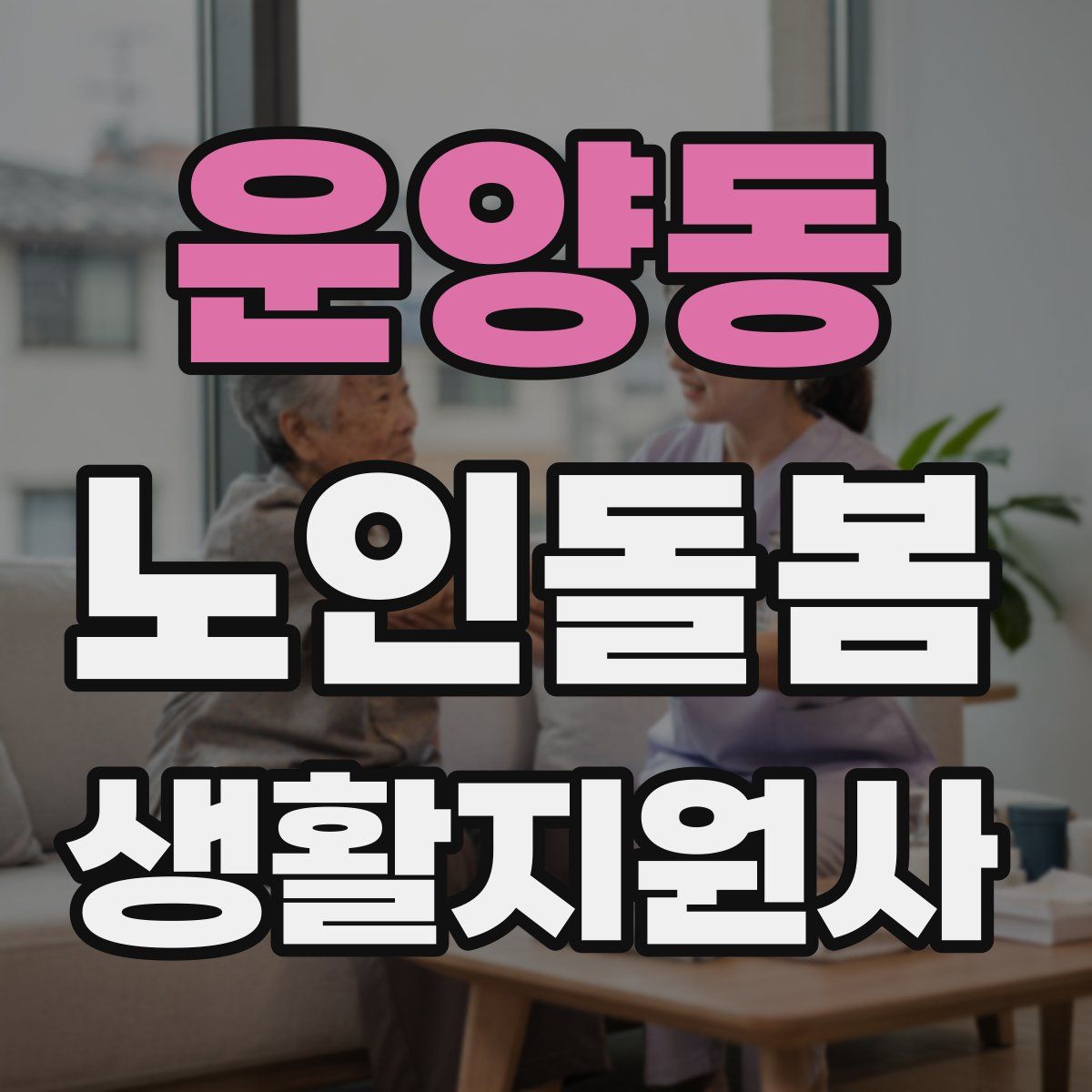 운양동 노인돌봄생활지원사 자격증