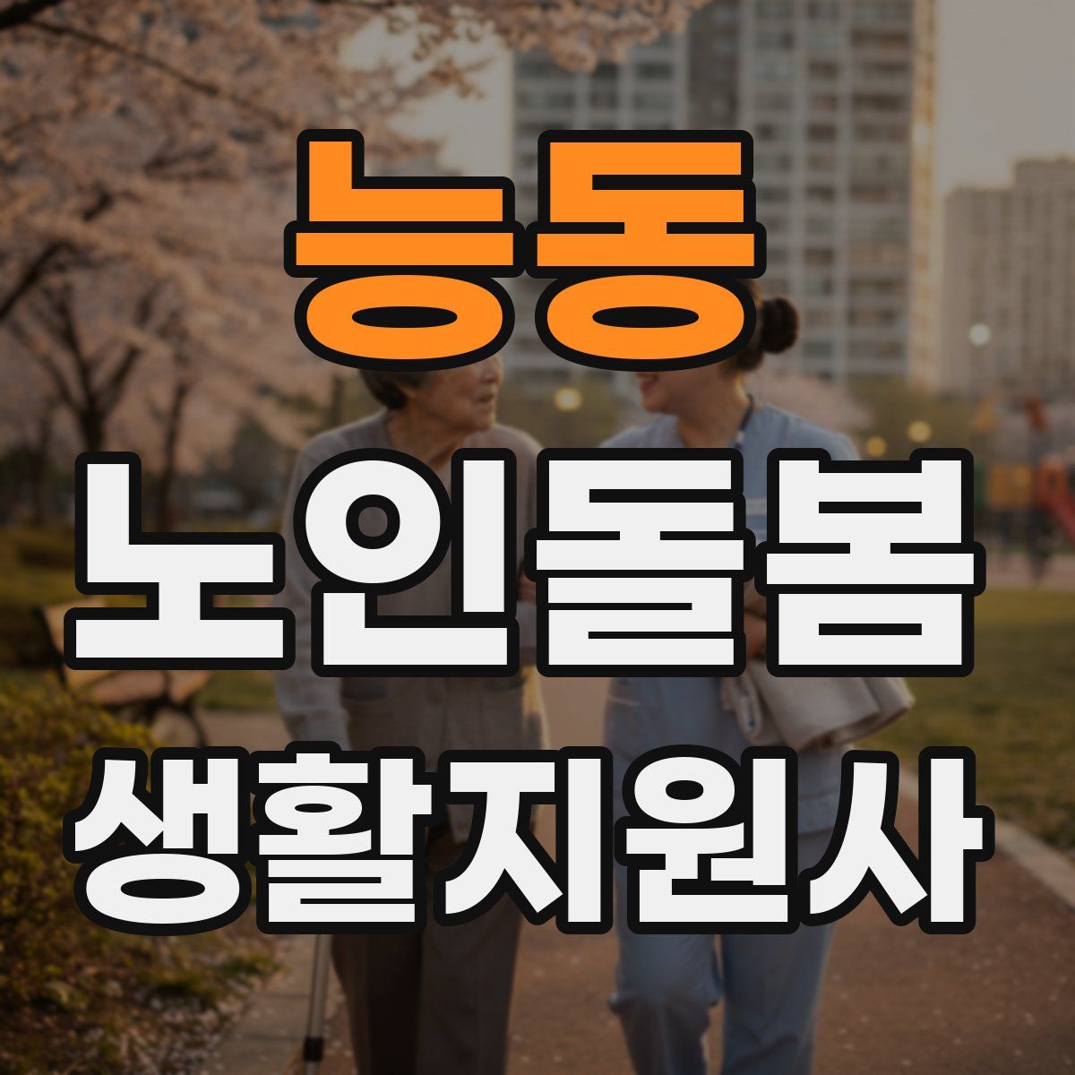 능동 노인돌봄생활지원사 자격증