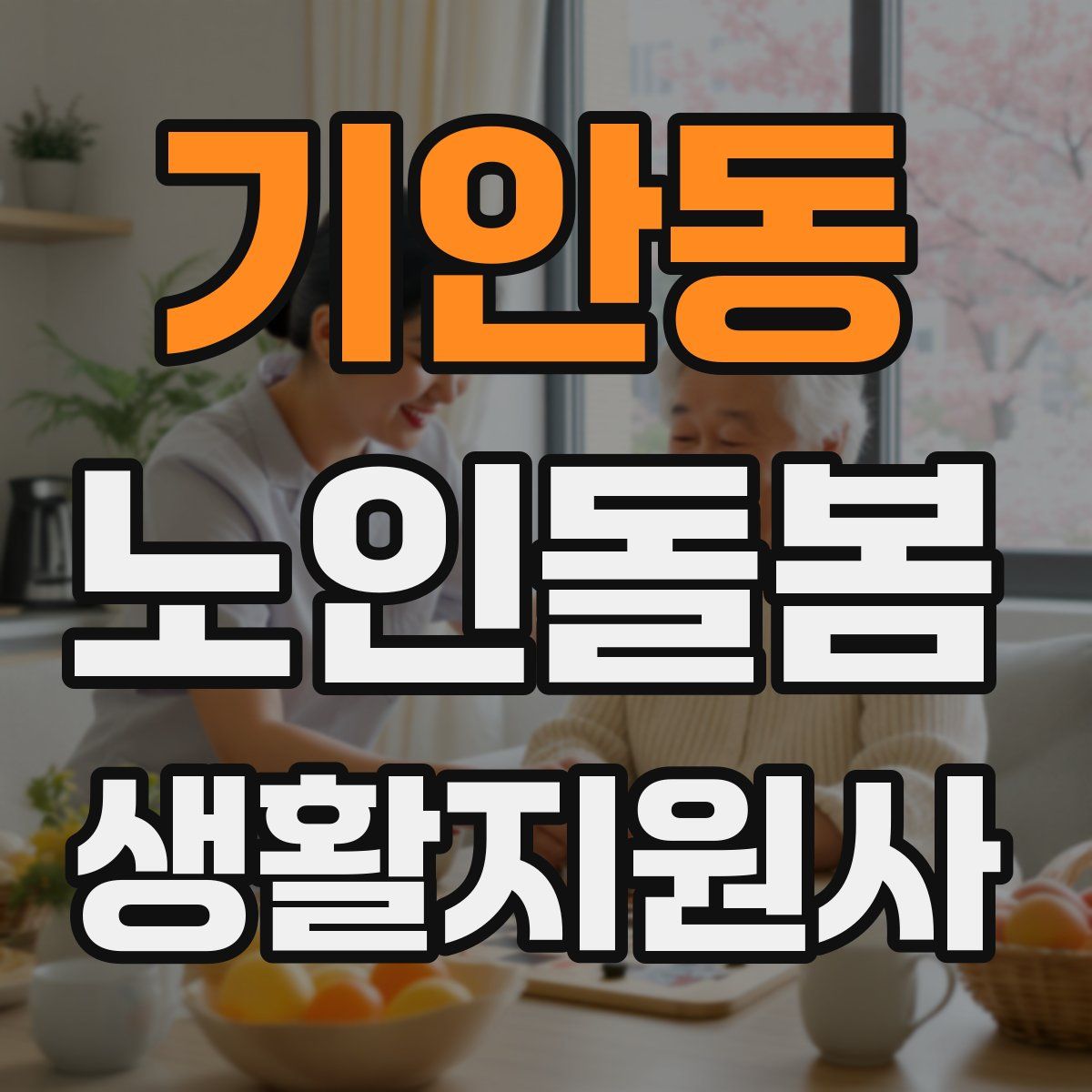기안동 노인돌봄생활지원사 자격증