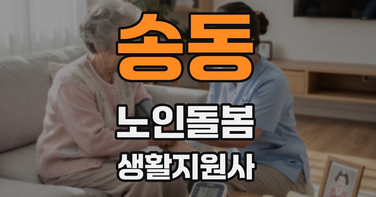 송동 노인돌봄생활지원사 자격증