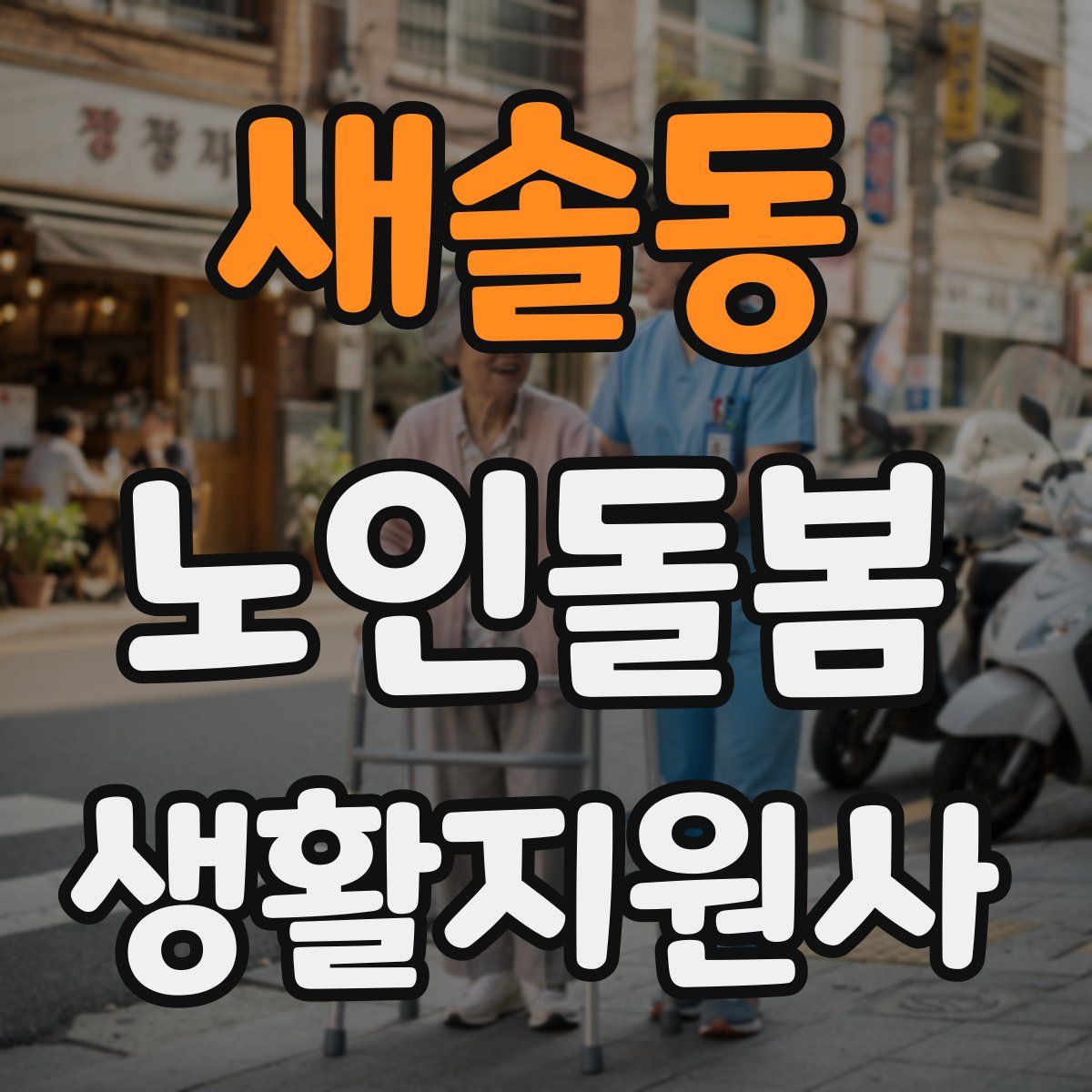 새솔동 노인돌봄생활지원사 자격증
