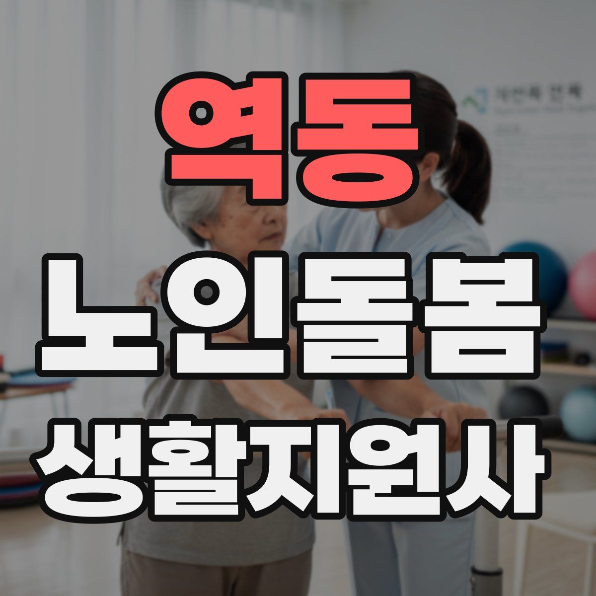 역동 노인돌봄생활지원사 자격증