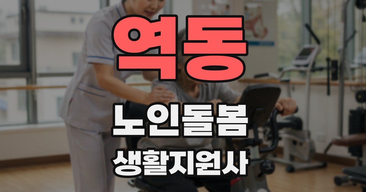 역동 노인돌봄생활지원사 자격증