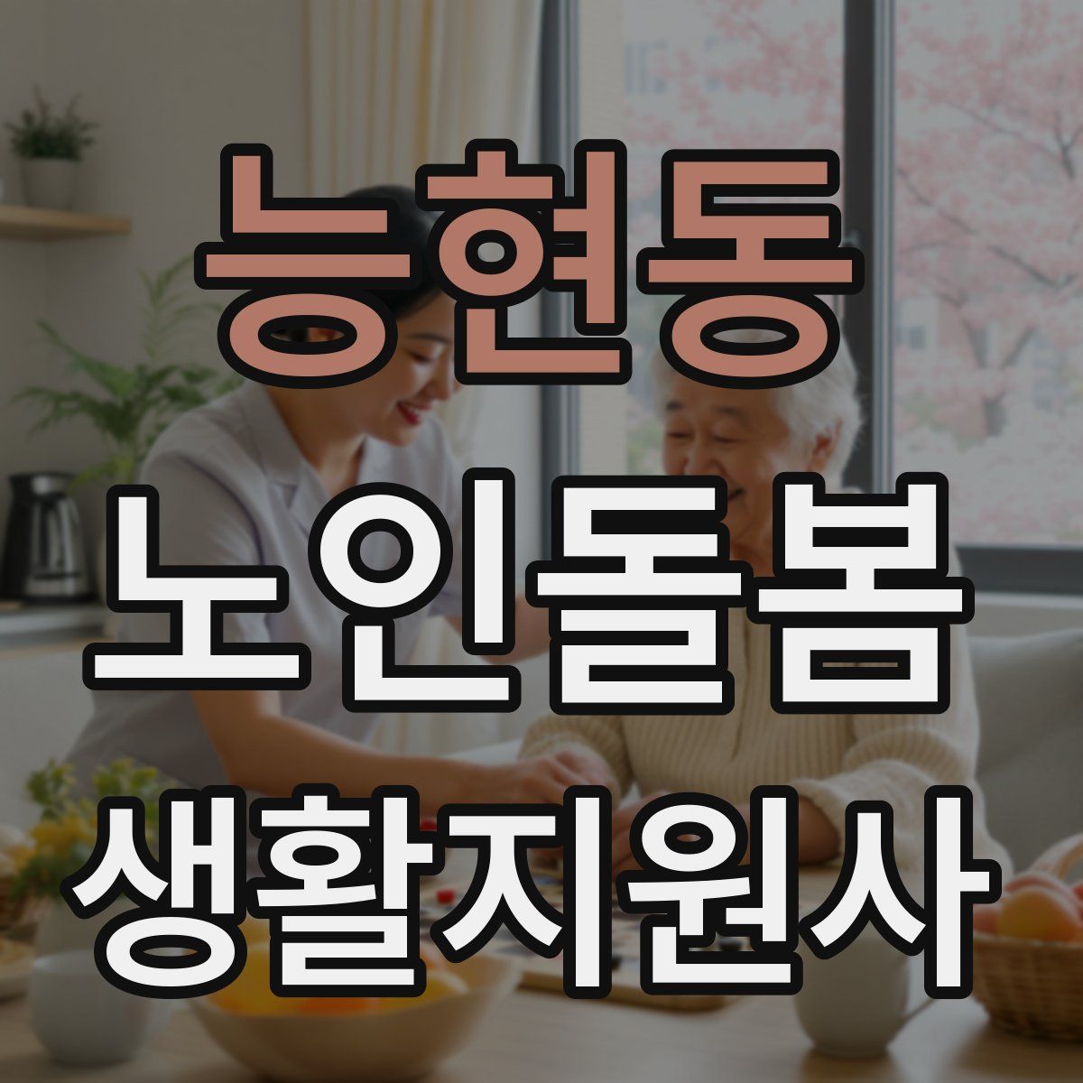 능현동 노인돌봄생활지원사 자격증