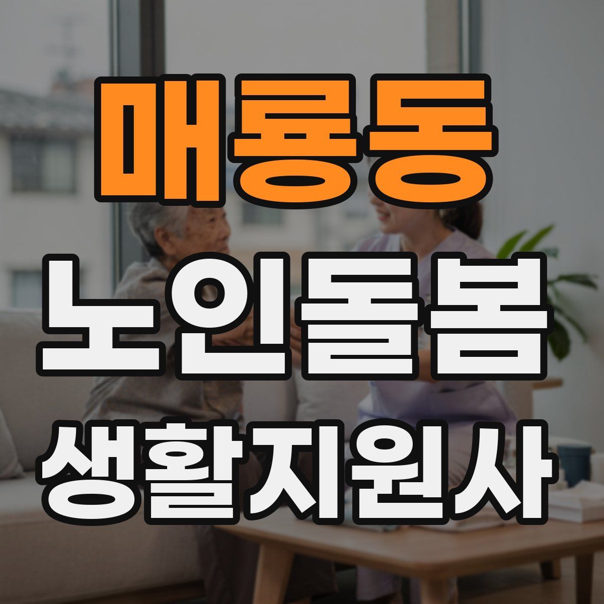 매룡동 노인돌봄생활지원사 자격증