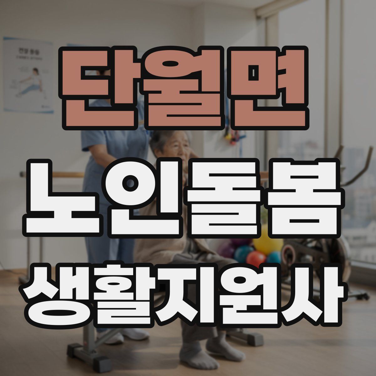 단월면 노인돌봄생활지원사 자격증