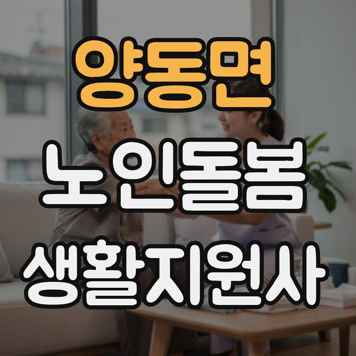 양동면 노인돌봄생활지원사 자격증