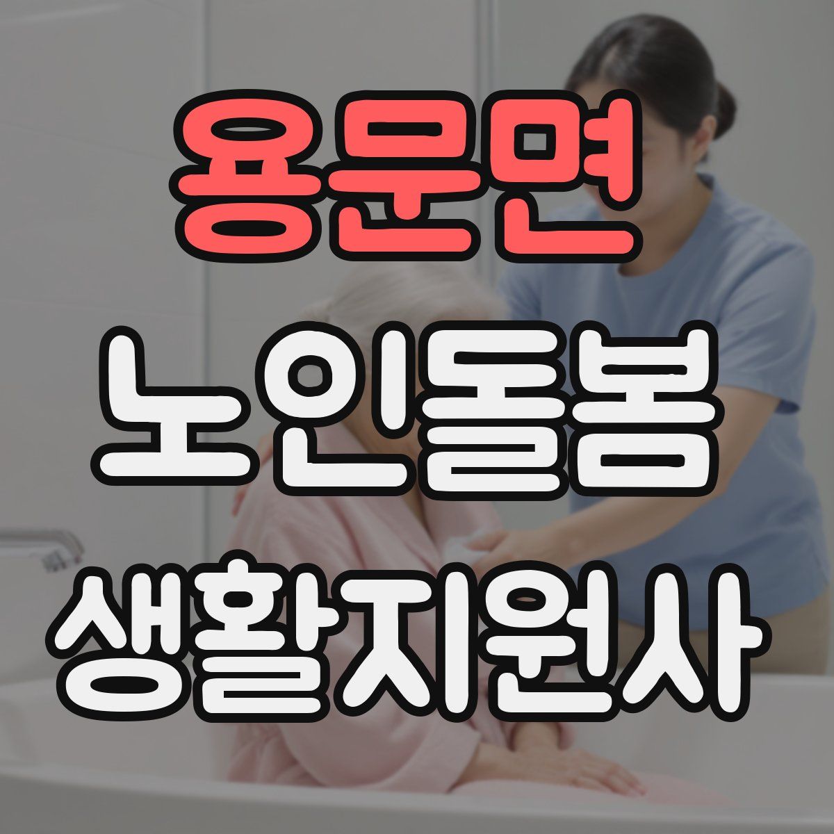 용문면 노인돌봄생활지원사 자격증