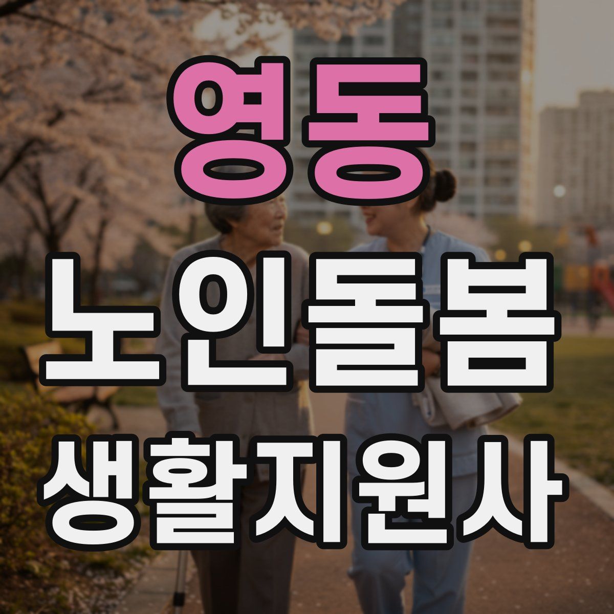 영동 노인돌봄생활지원사 자격증