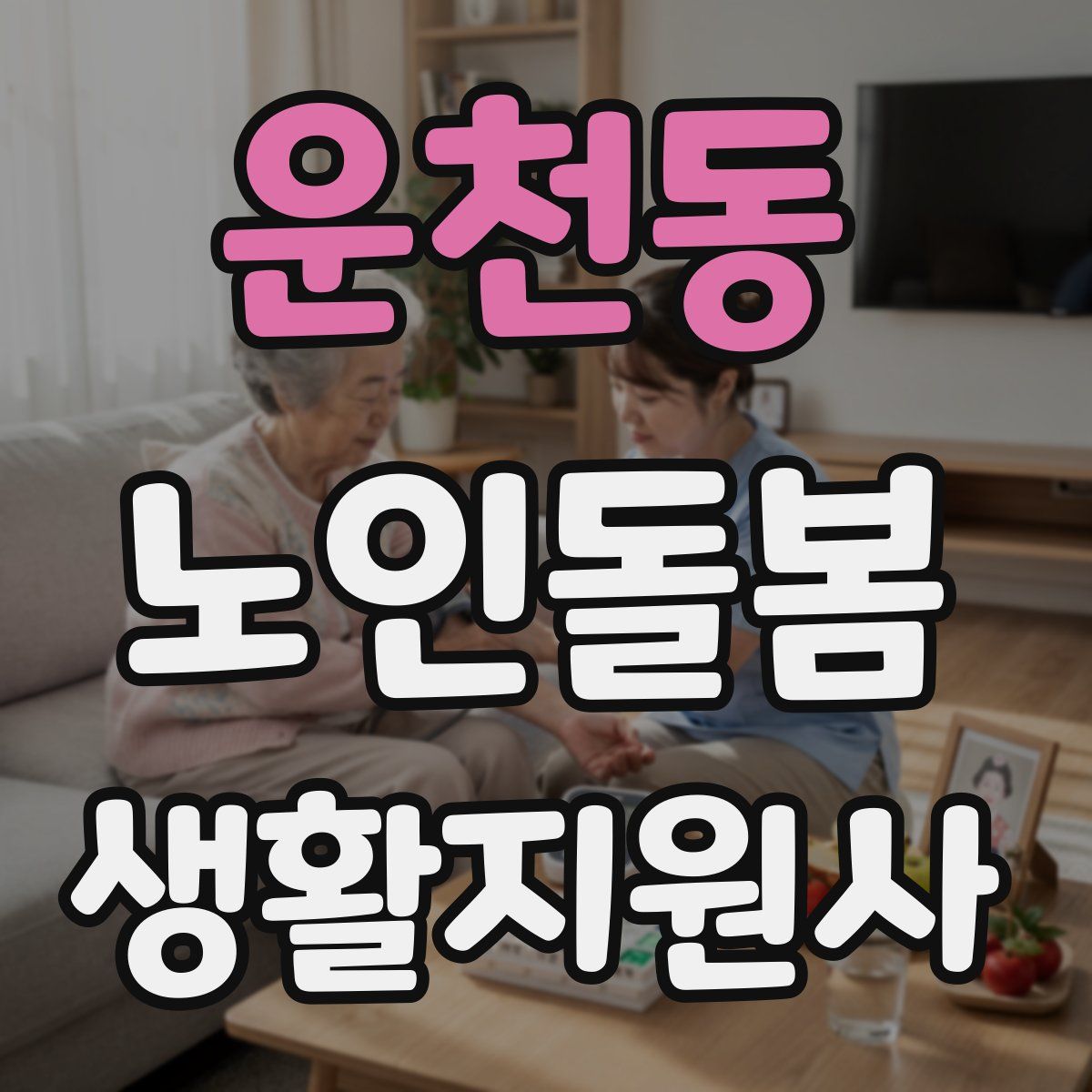 운천동 노인돌봄생활지원사 자격증