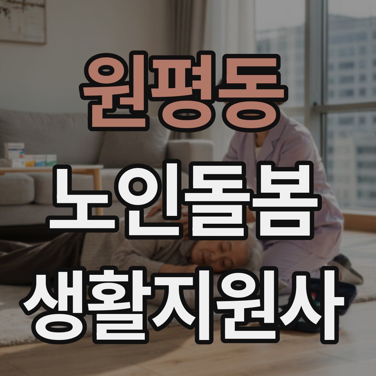 원평동 노인돌봄생활지원사 자격증