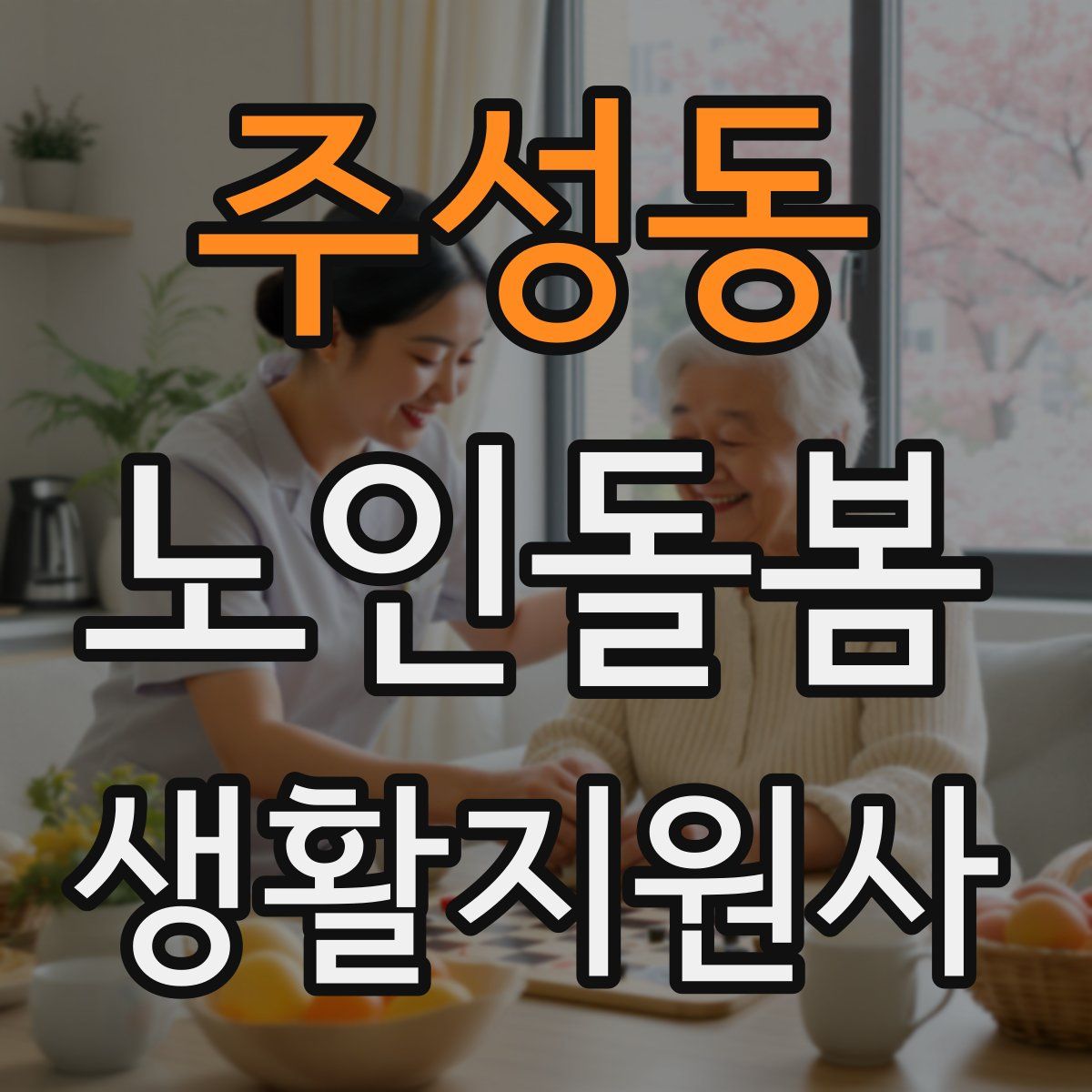 주성동 노인돌봄생활지원사 자격증