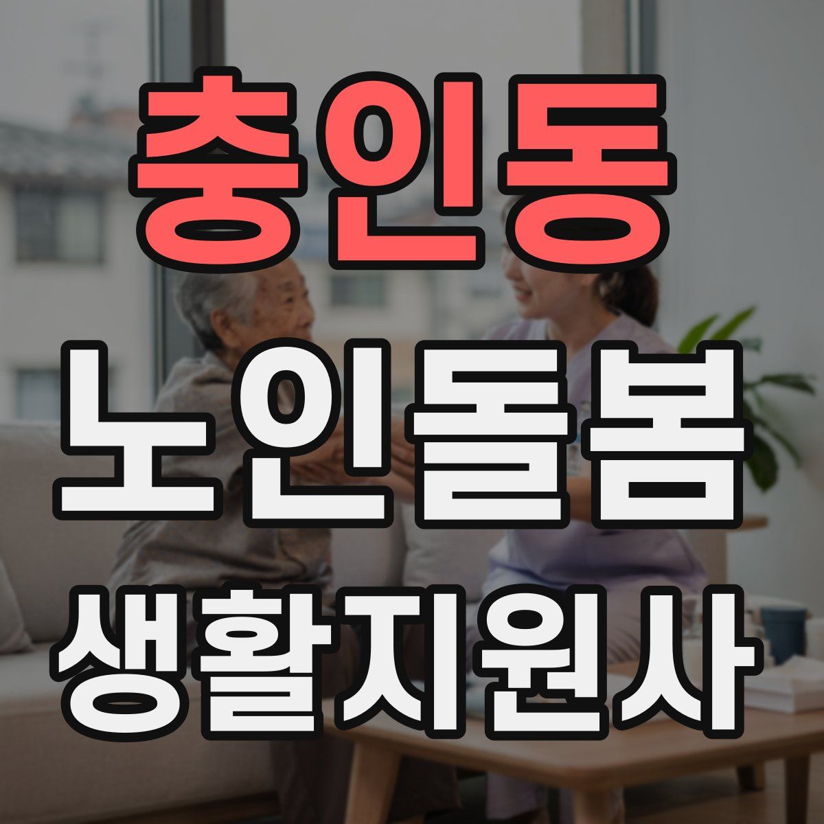 충인동 노인돌봄생활지원사 자격증