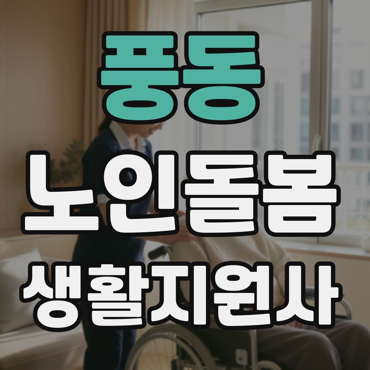 풍동 노인돌봄생활지원사 자격증