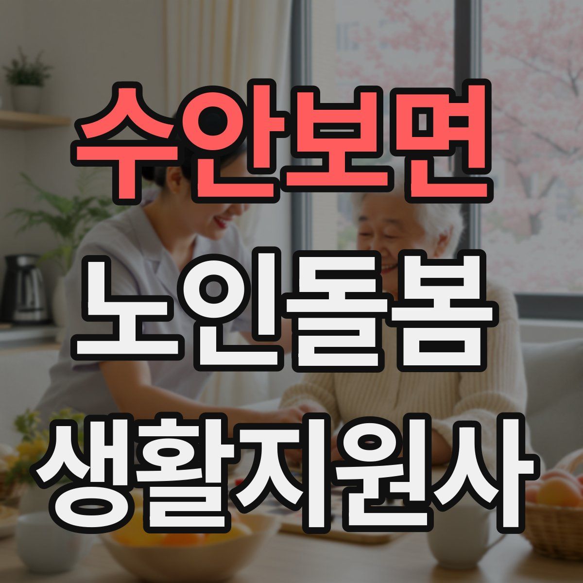 수안보면 노인돌봄생활지원사 자격증