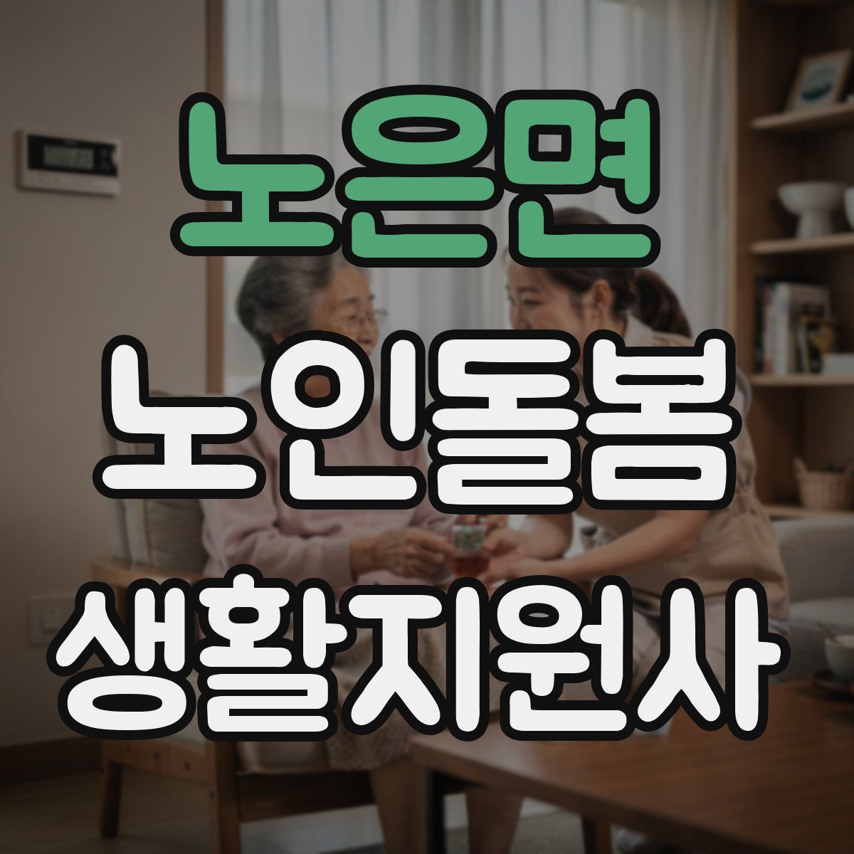 노은면 노인돌봄생활지원사 자격증