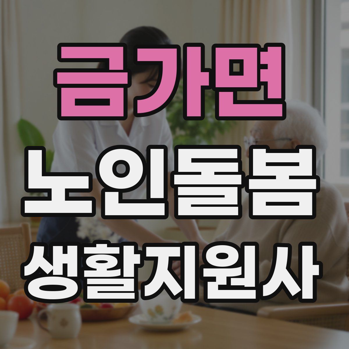 금가면 노인돌봄생활지원사 자격증