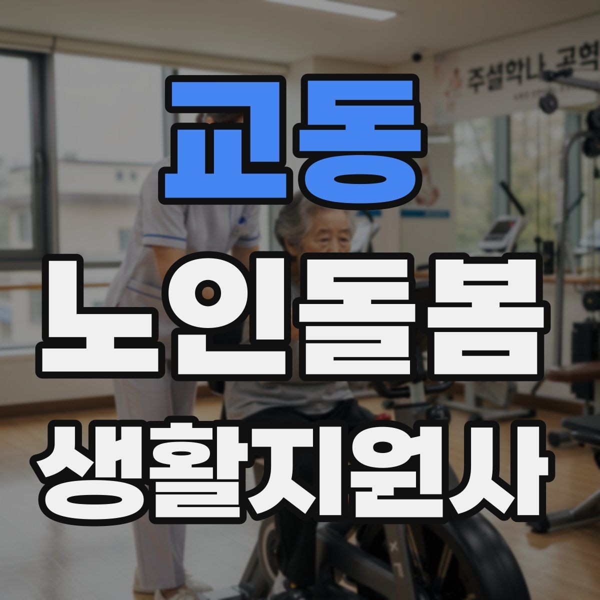 교동 노인돌봄생활지원사 자격증 한 번에 이해하는 업무 핵심 정리
