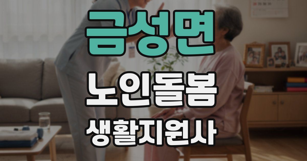 금성면 노인돌봄생활지원사 자격증