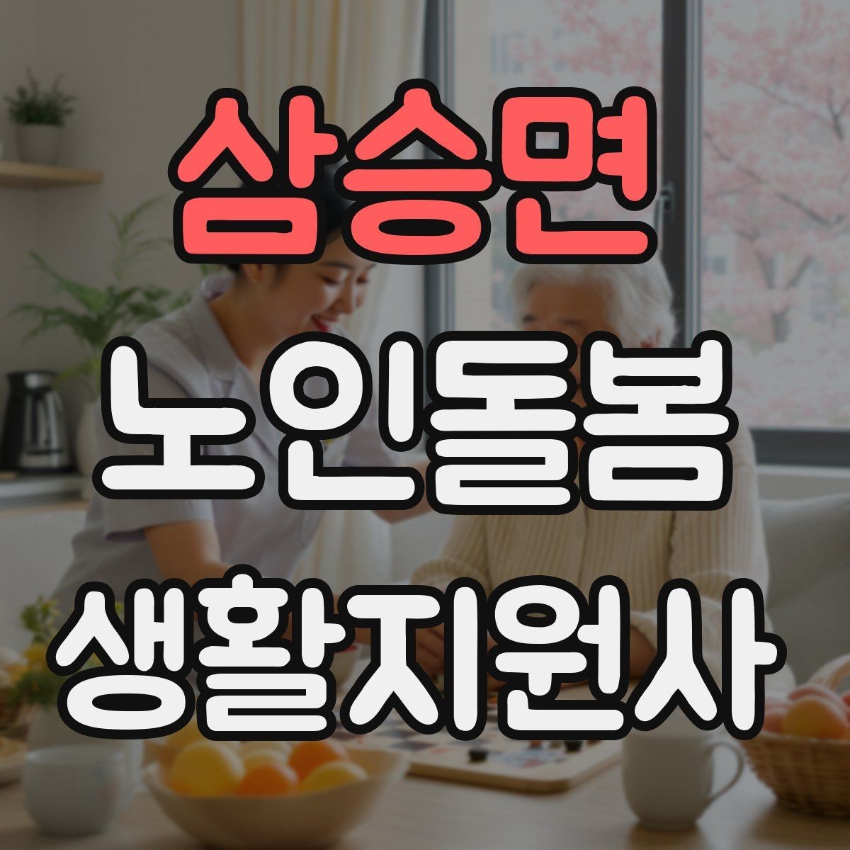 삼승면 노인돌봄생활지원사 자격증 한 번에 이해하는 업무 핵심 정리