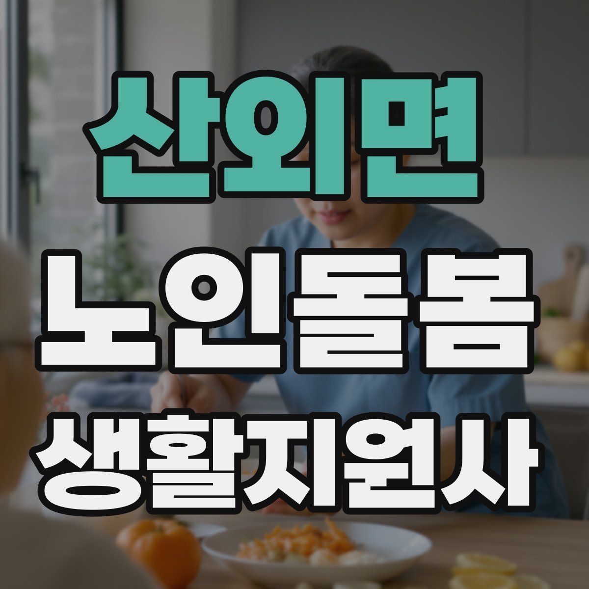 산외면 노인돌봄생활지원사 자격증
