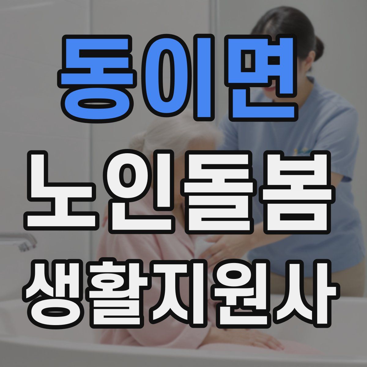 동이면 노인돌봄생활지원사 자격증
