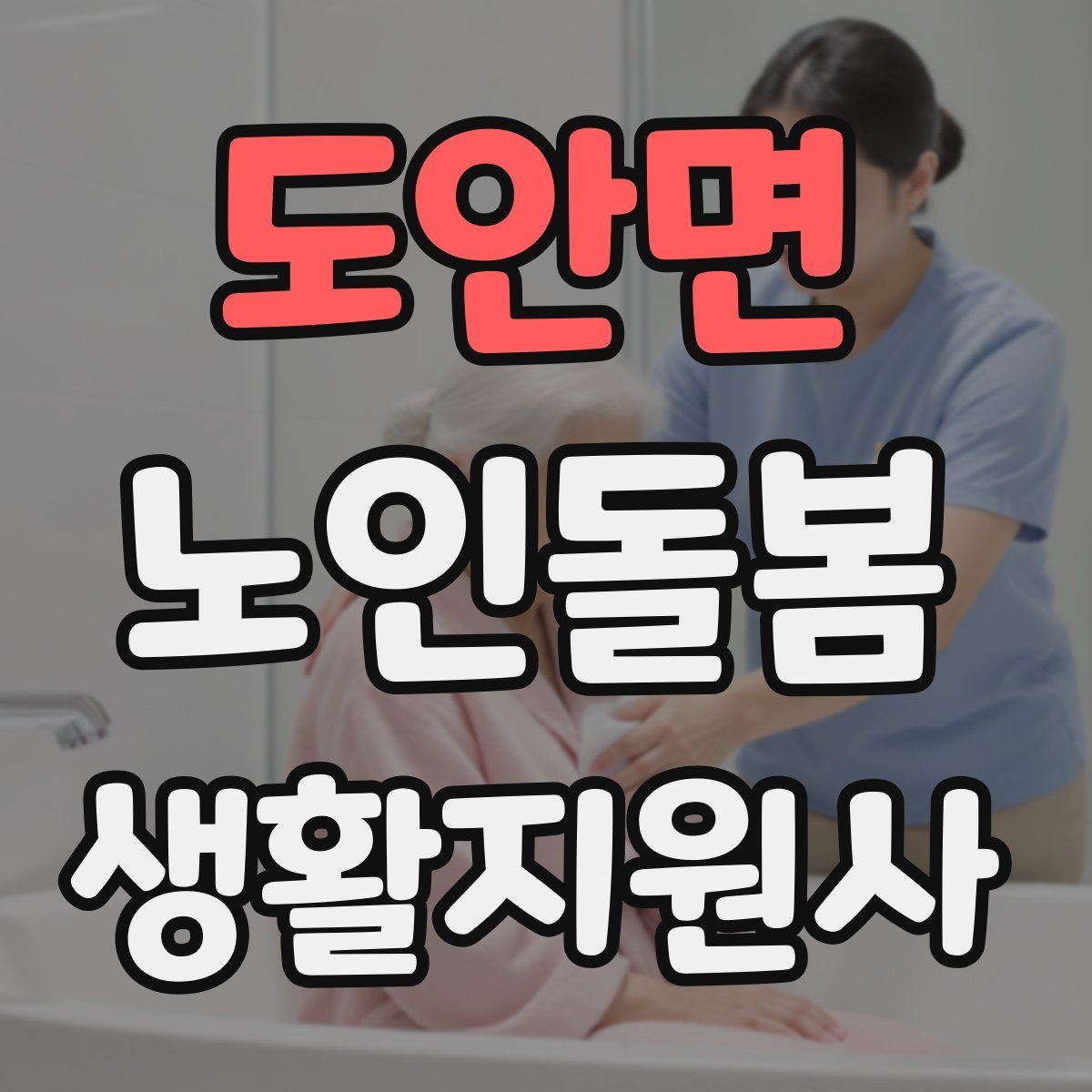 도안면 노인돌봄생활지원사 자격증