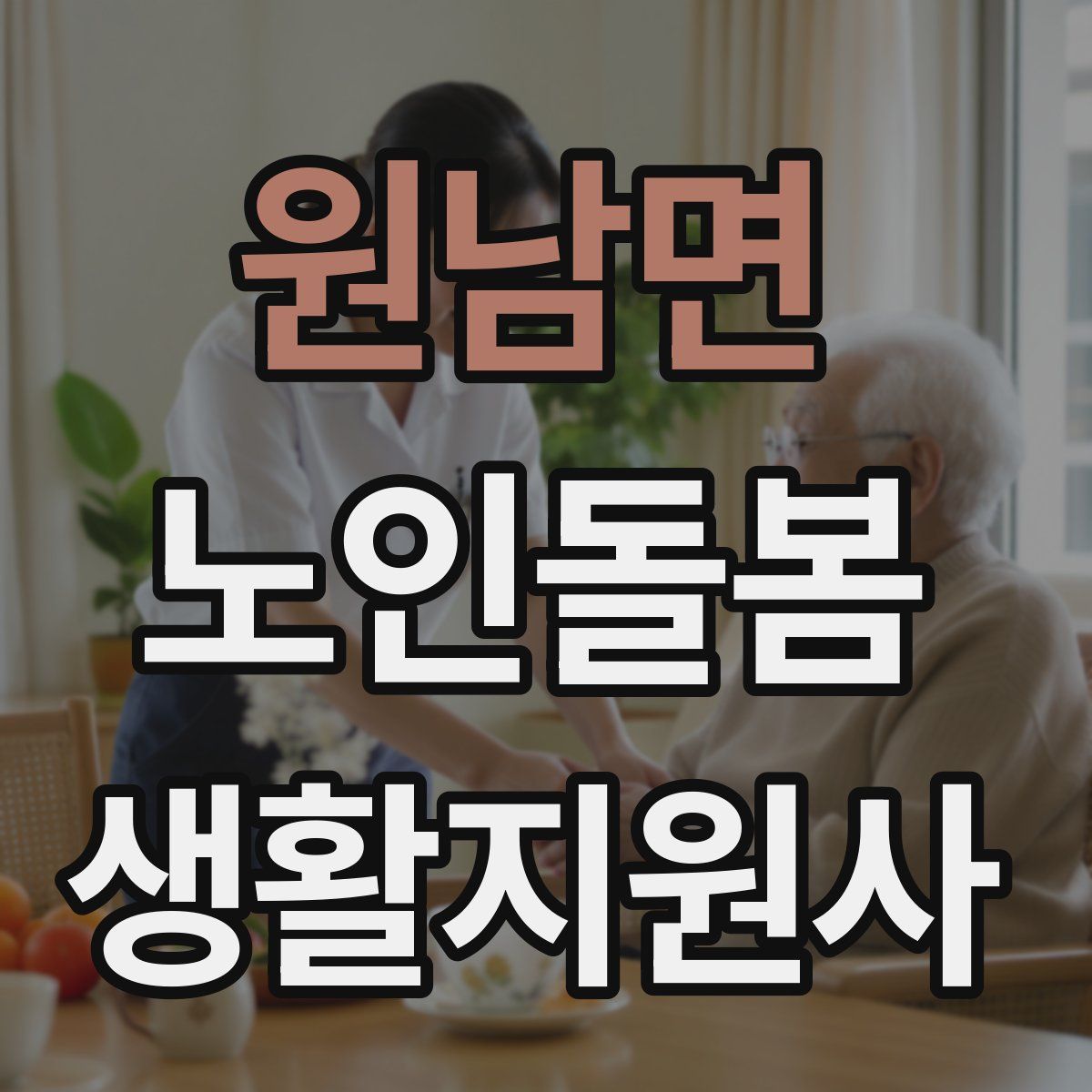 원남면 노인돌봄생활지원사 자격증