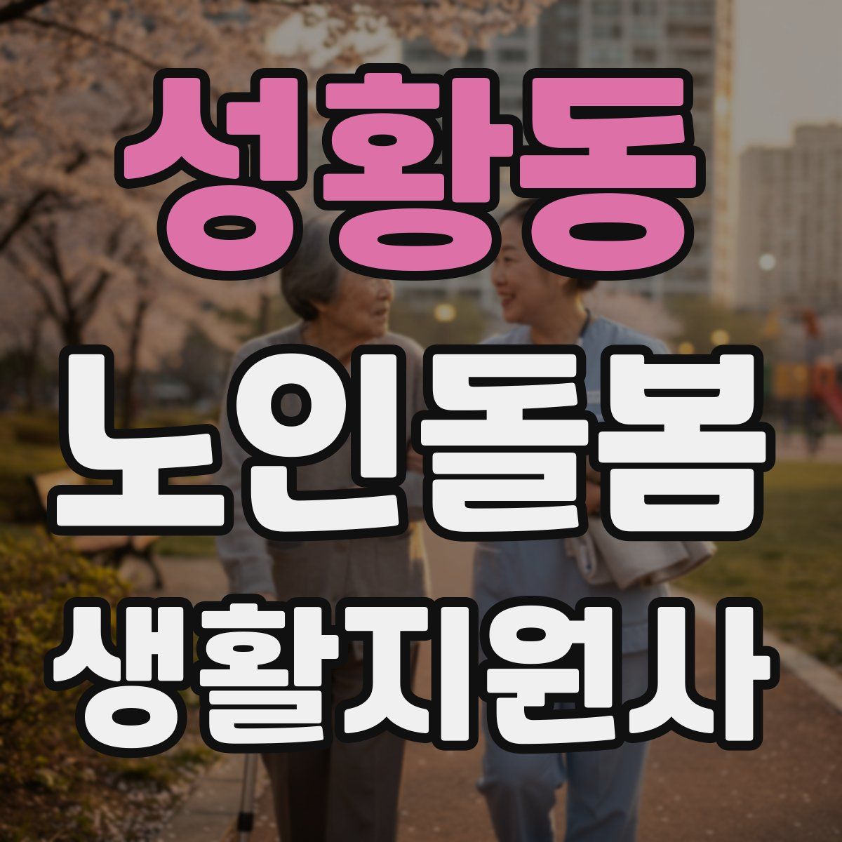 성황동 노인돌봄생활지원사 자격증