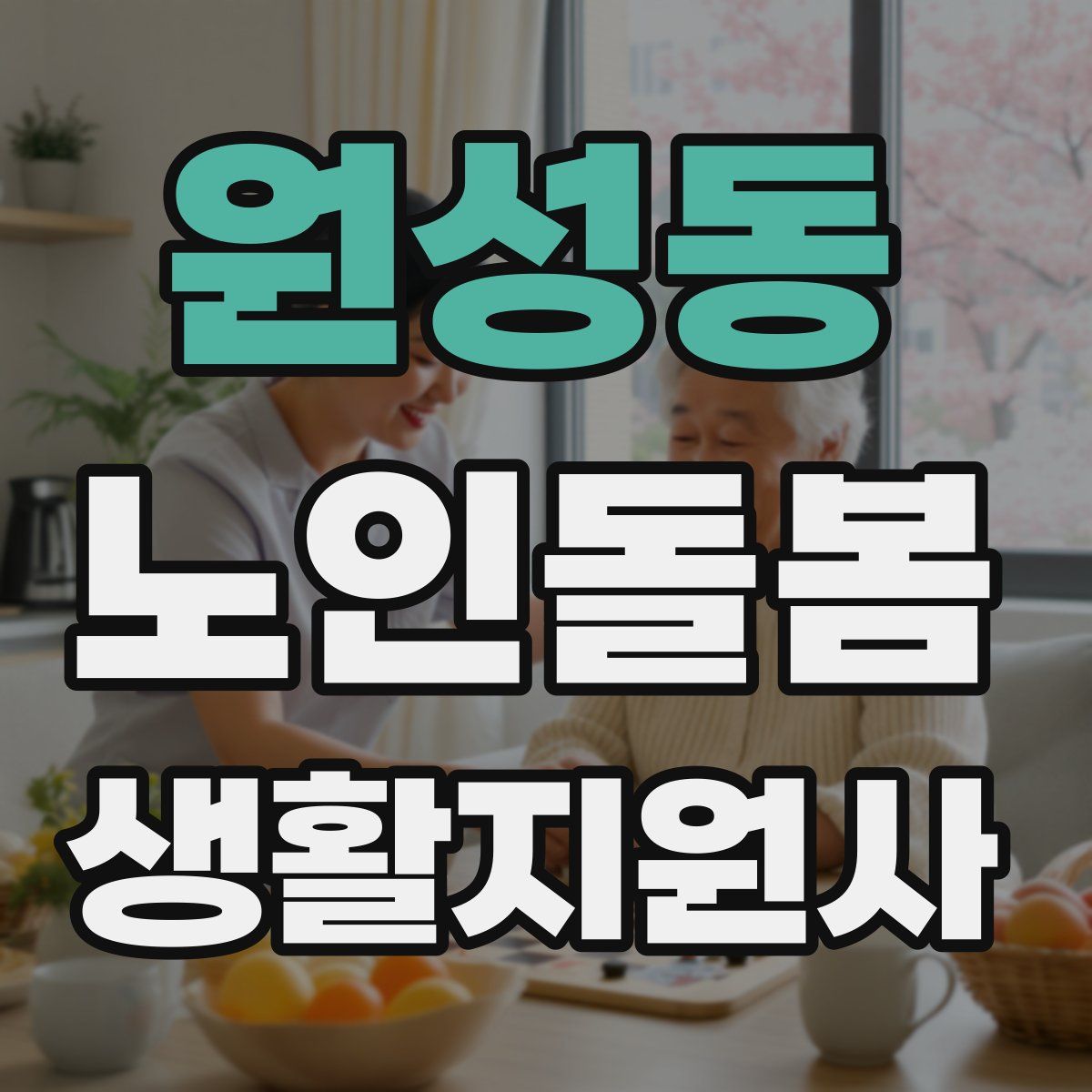원성동 노인돌봄생활지원사 자격증