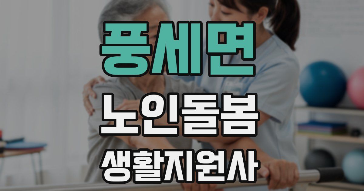풍세면 노인돌봄생활지원사 자격증