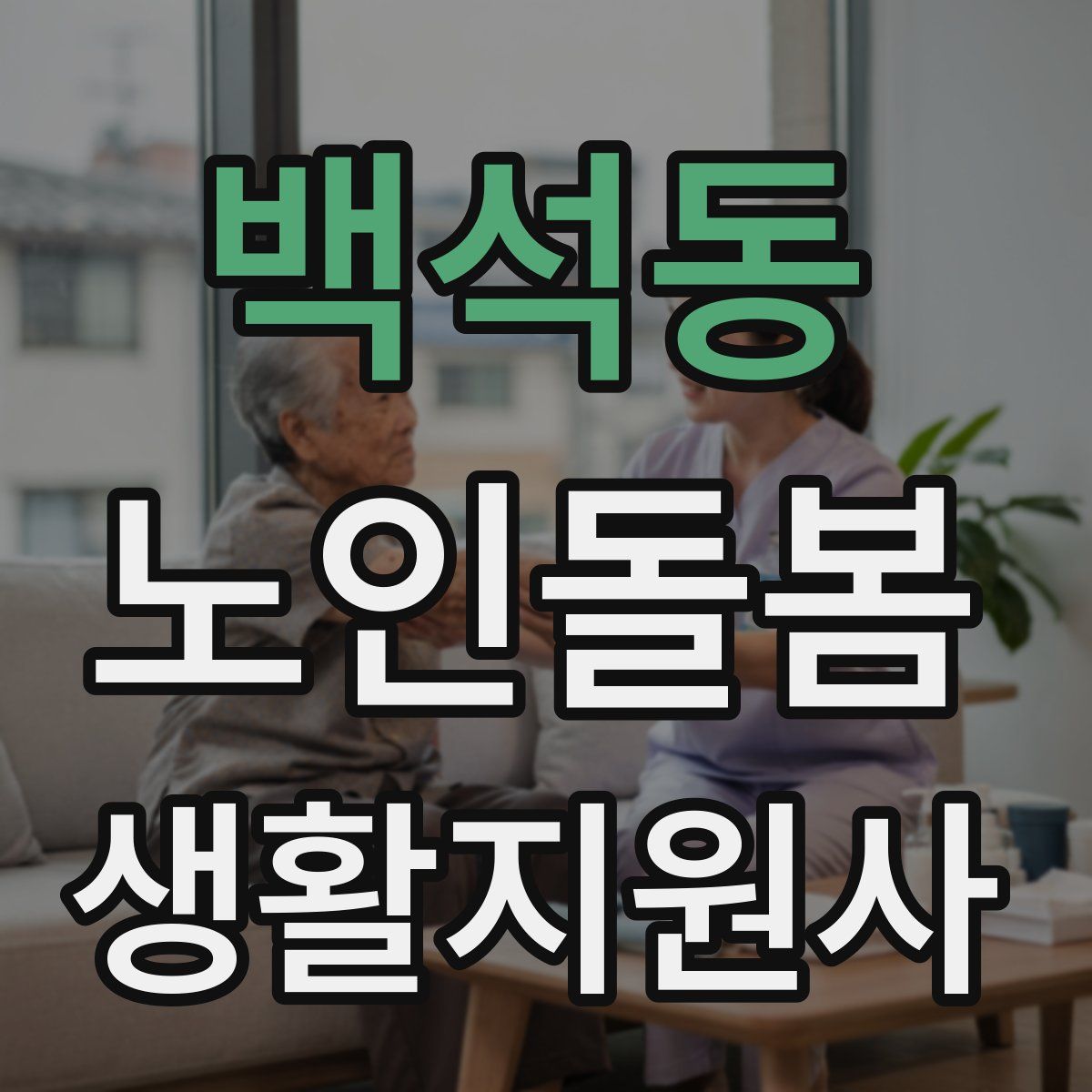 백석동 노인돌봄생활지원사 자격증