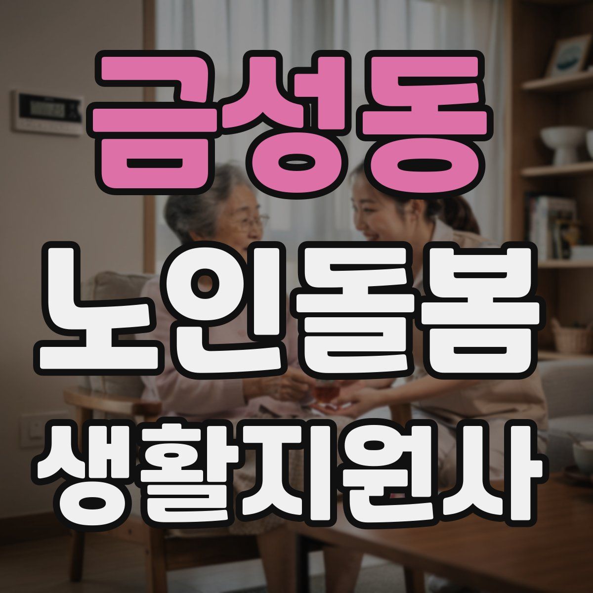 금성동 노인돌봄생활지원사 자격증