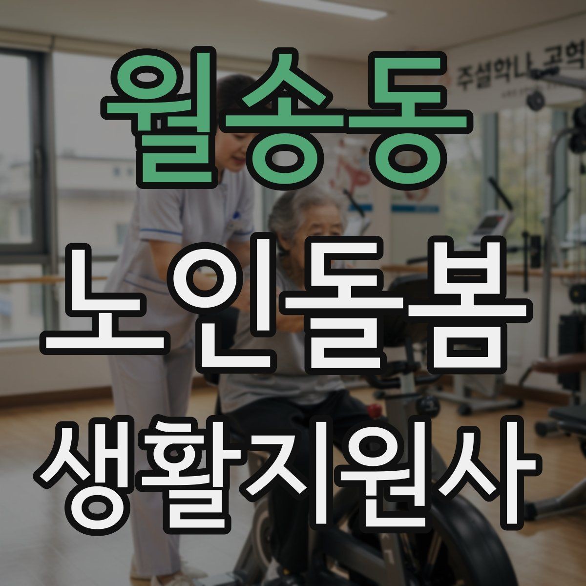 월송동 노인돌봄생활지원사 자격증 장보기 동행이 필요할 때 체크 포인트