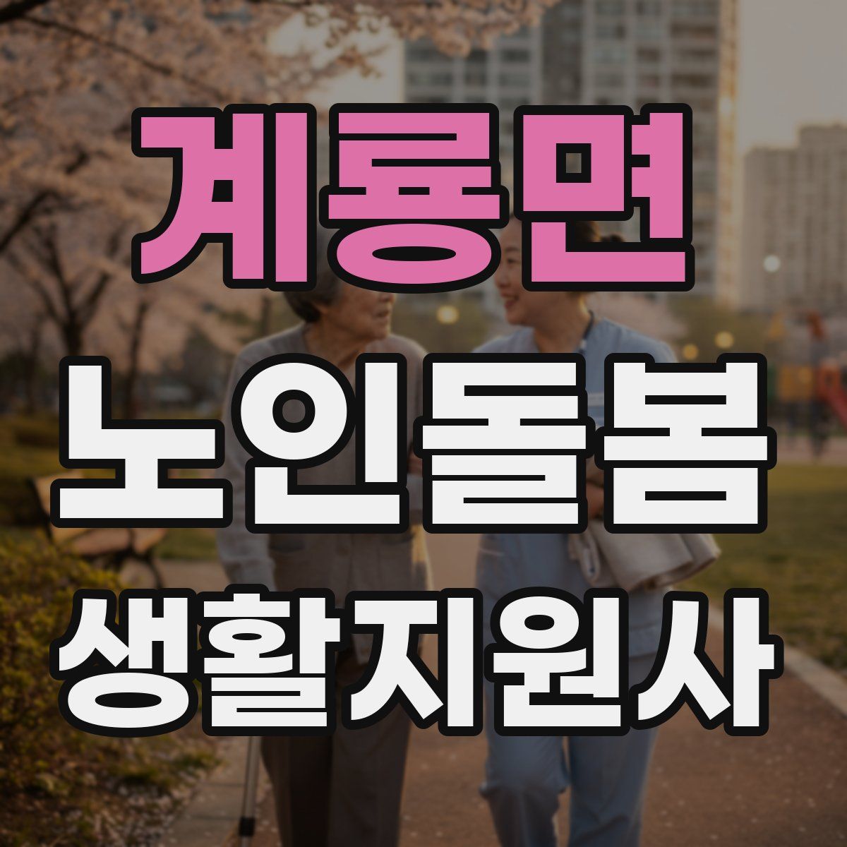 계룡면 노인돌봄생활지원사 자격증