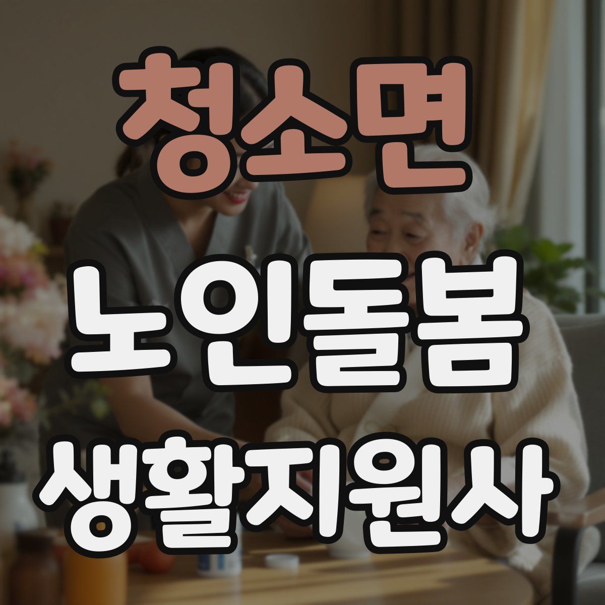 청소면 노인돌봄생활지원사 자격증