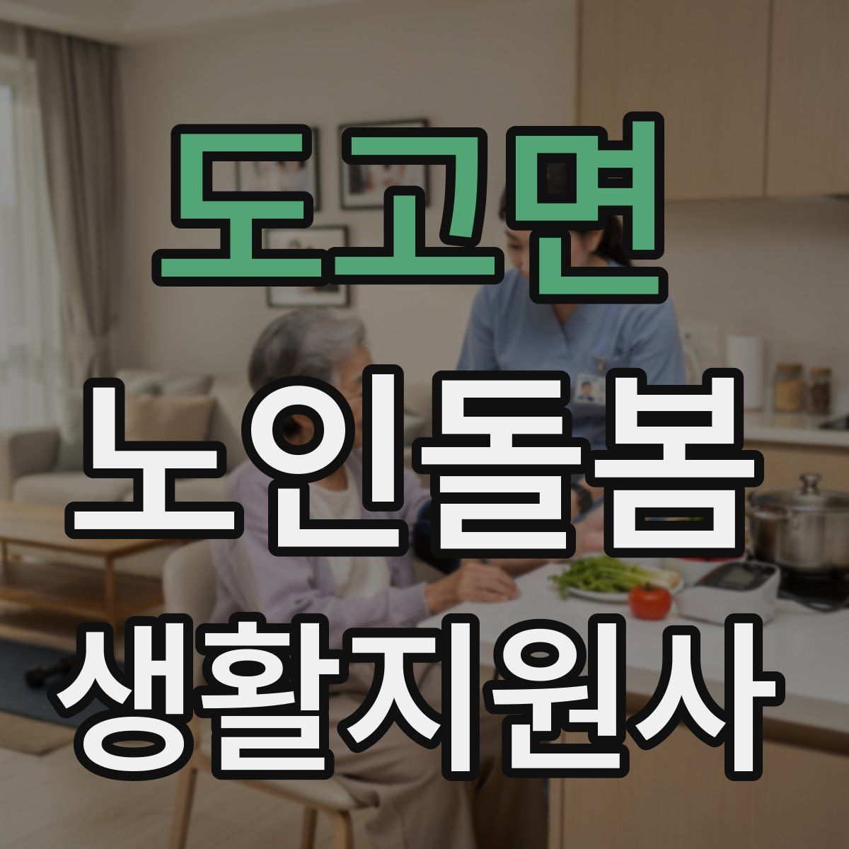 도고면 노인돌봄생활지원사 자격증