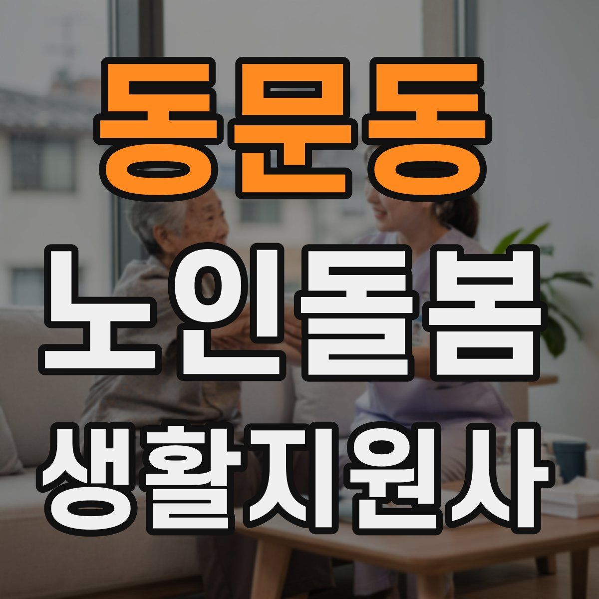 동문동 노인돌봄생활지원사 자격증