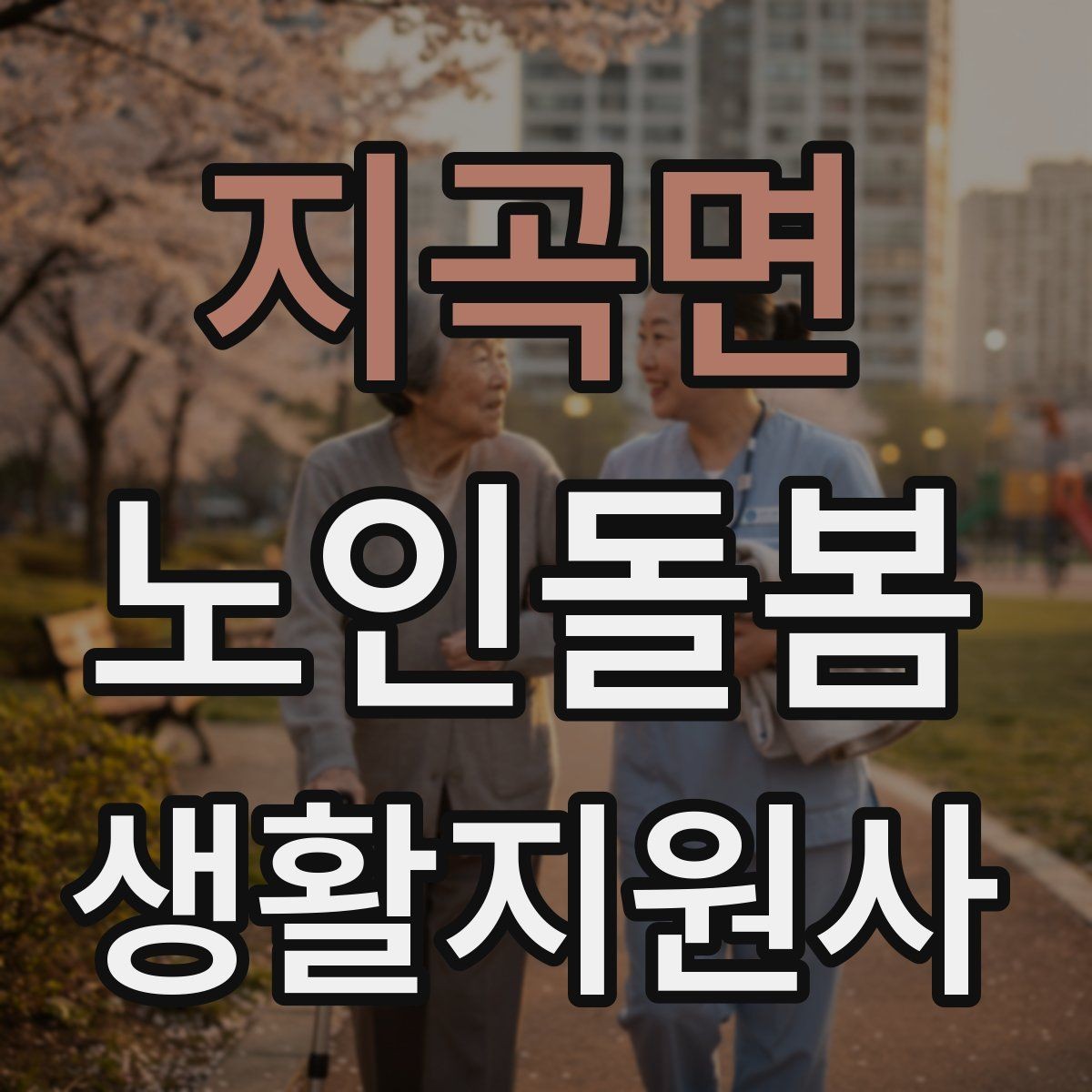 지곡면 노인돌봄생활지원사 자격증 집안 위험요소를 먼저 점검해야 하는 이유