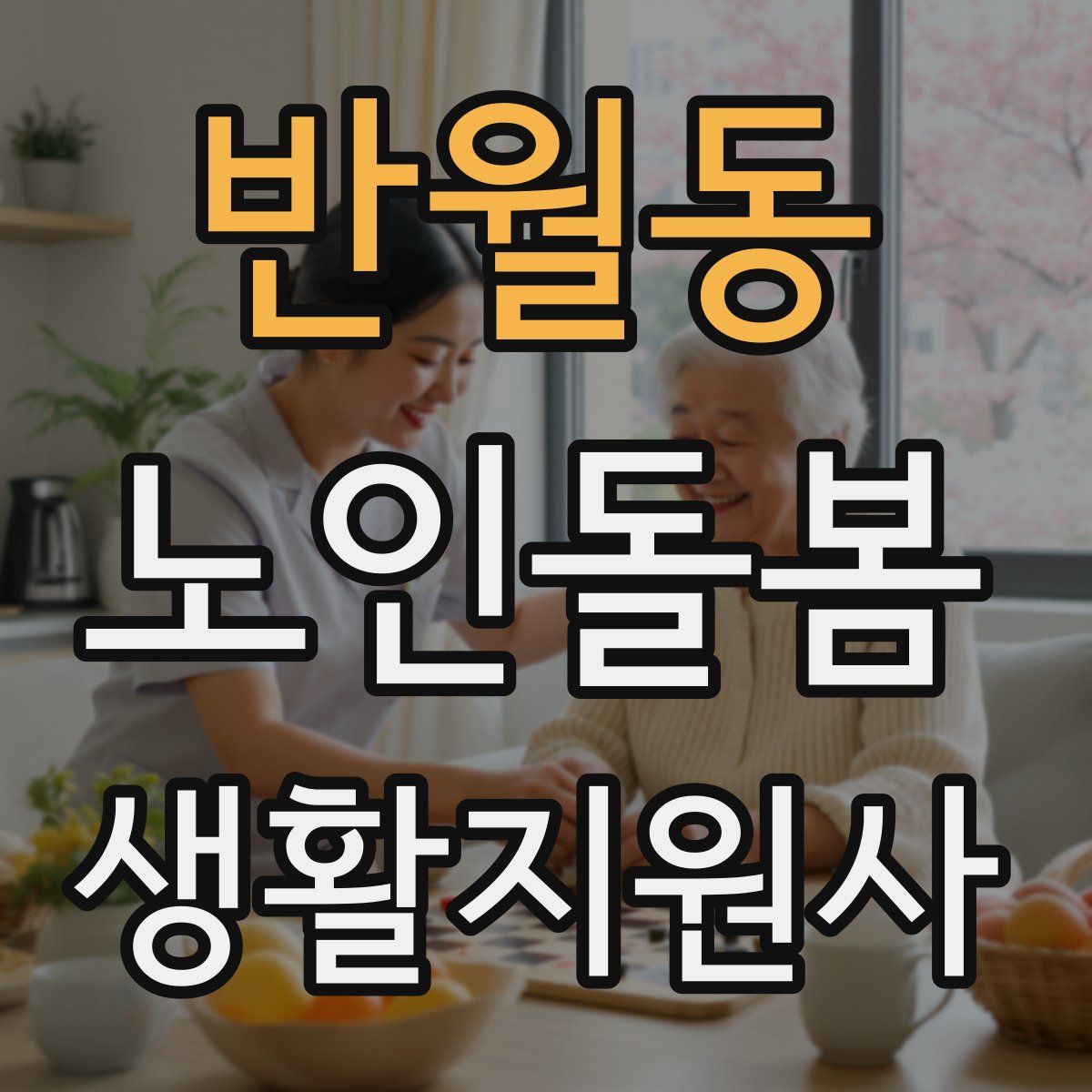 반월동 노인돌봄생활지원사 자격증