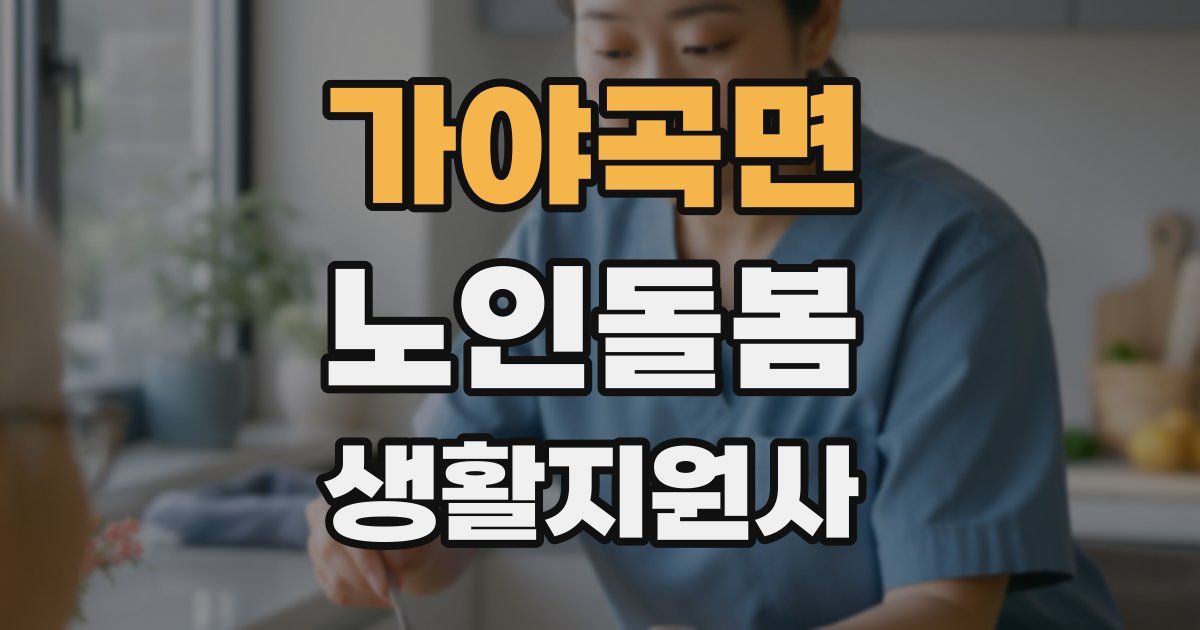 가야곡면 노인돌봄생활지원사 자격증