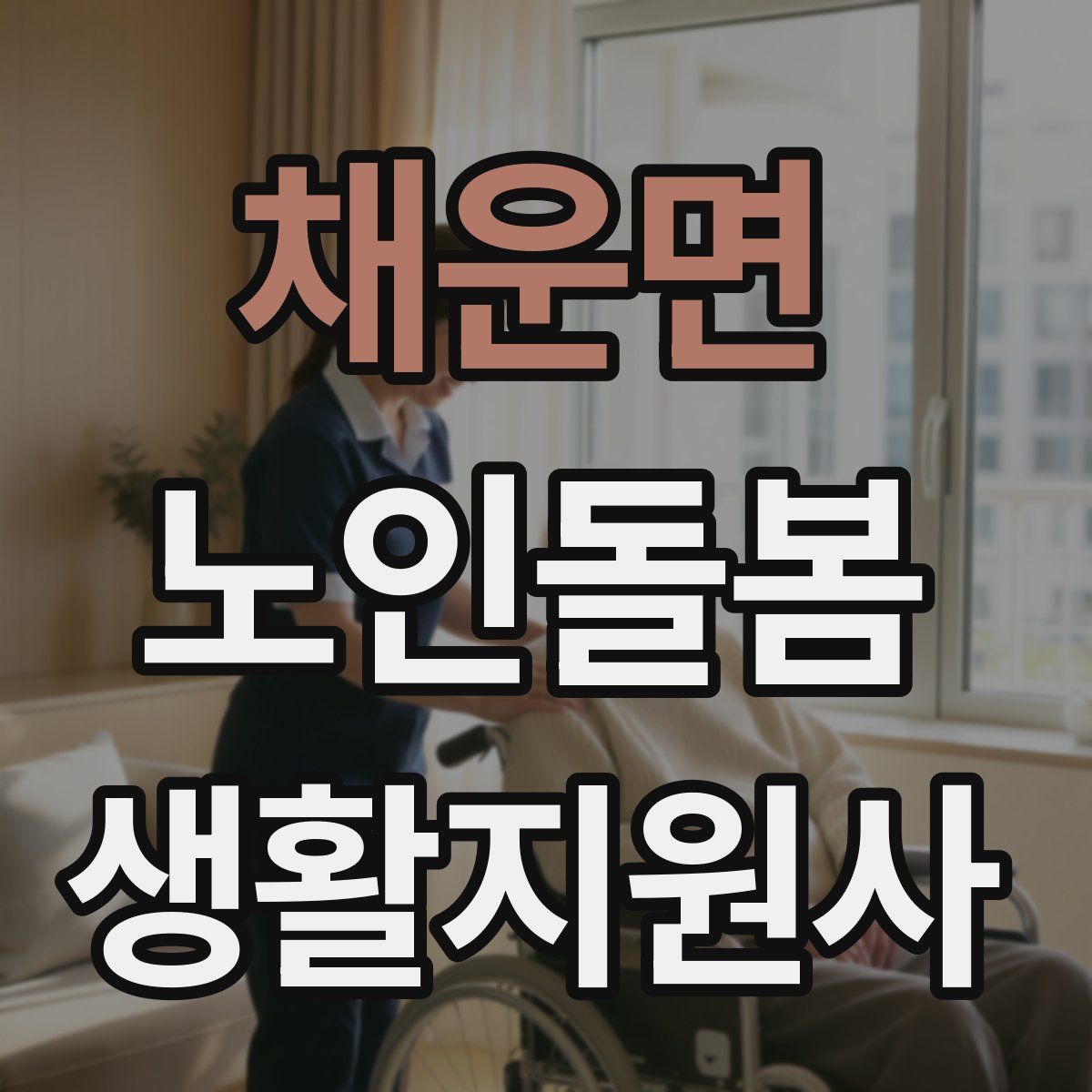 채운면 노인돌봄생활지원사 자격증