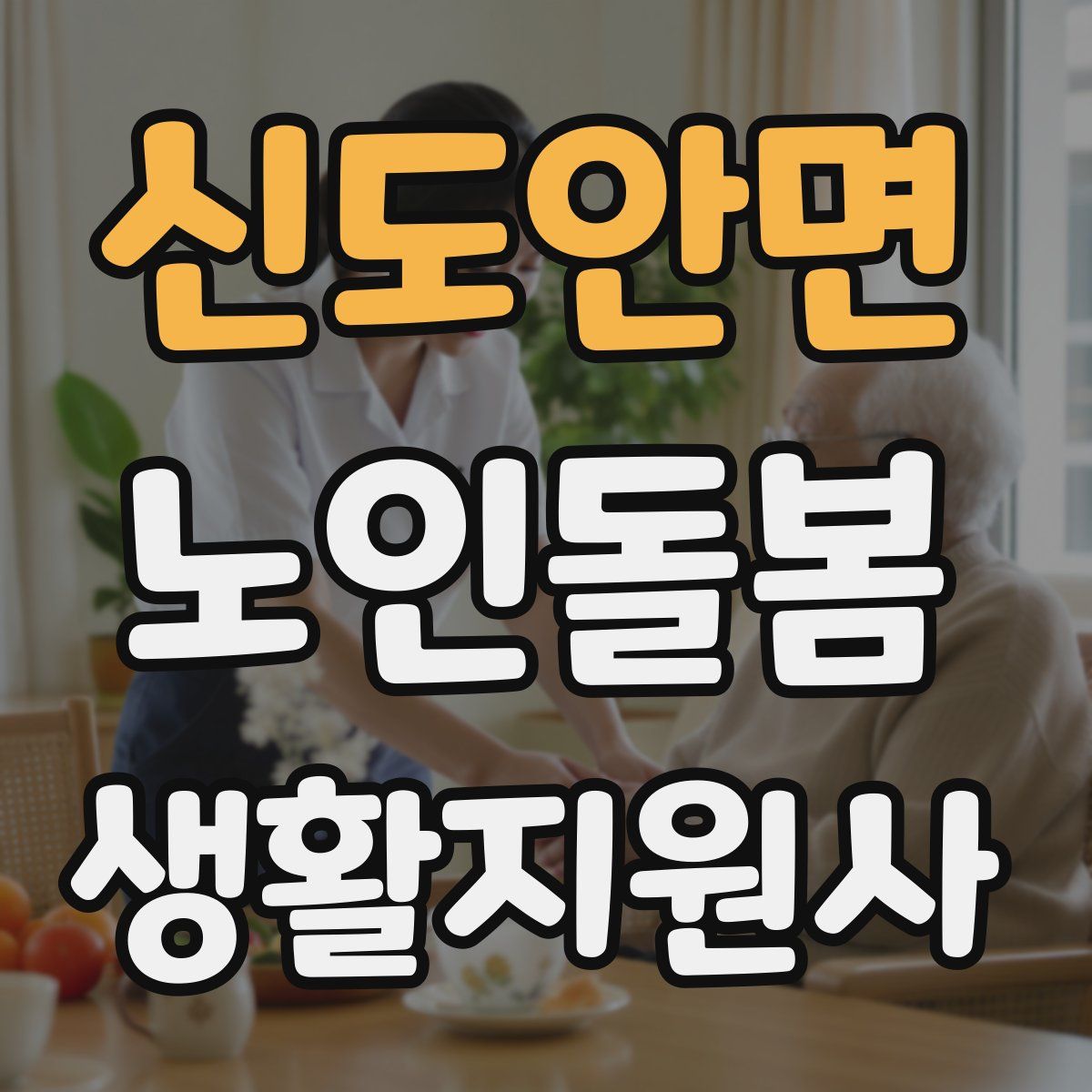 신도안면 노인돌봄생활지원사 자격증